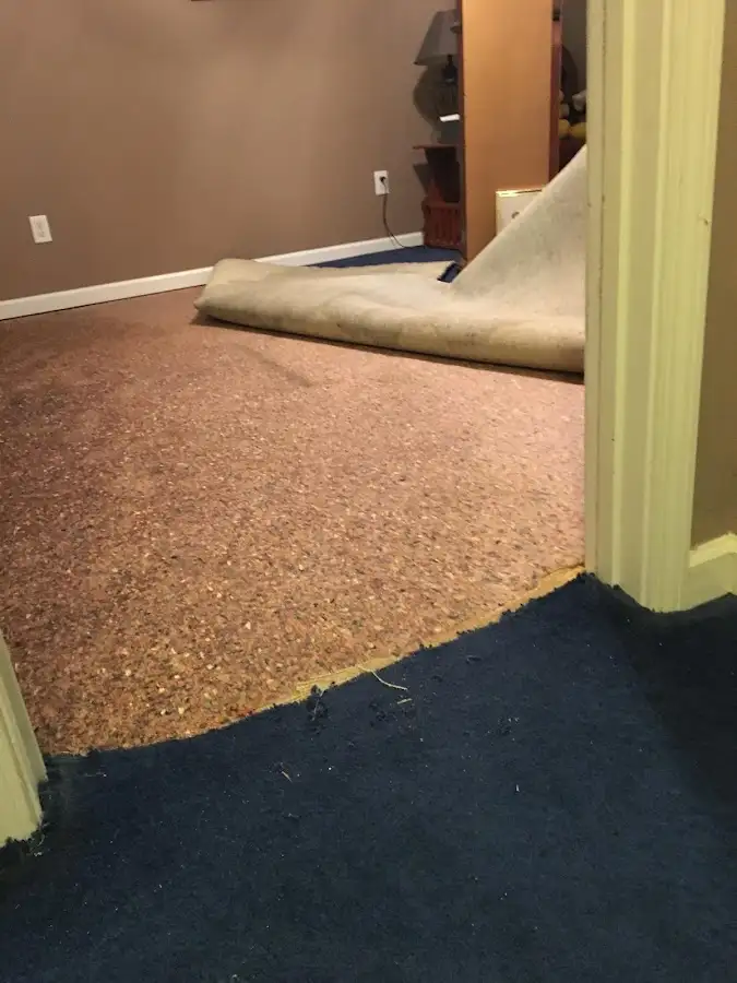 Carpet pad removal revealing water damage during Drying & Dehumidification in Gardena