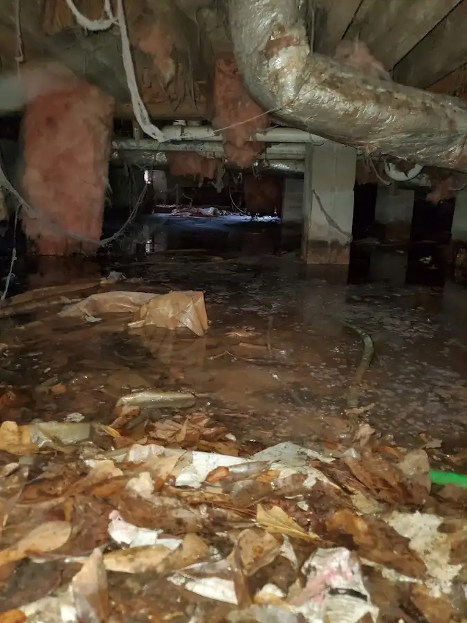 Crawl space flood assessment for Leak Detection & Repair in Gardena