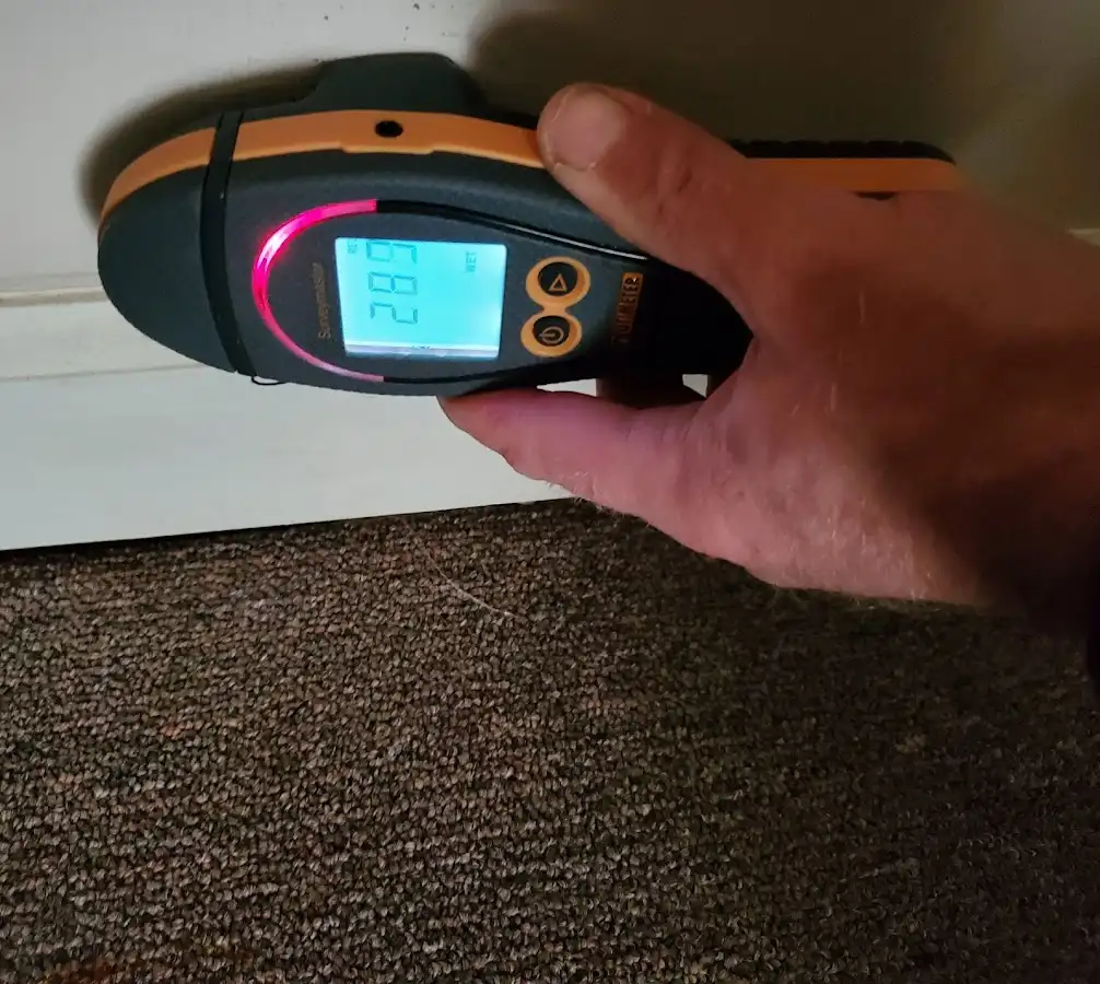 Moisture detection at baseboard during Mold Inspection & Testing in Gardena